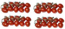 Tomaten4x10.jpg